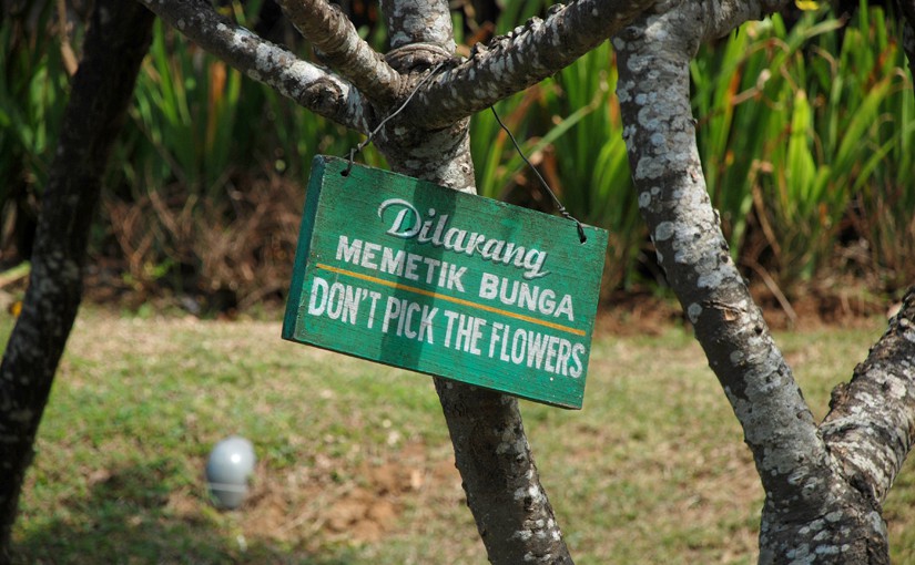 Baum mit "Don't pick the flowers' - Schild als Symbol für balinesische Kultur