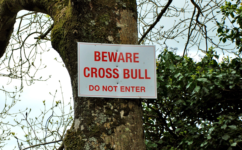 Kundenservice - Beware Cross Bull Schild als Symbol