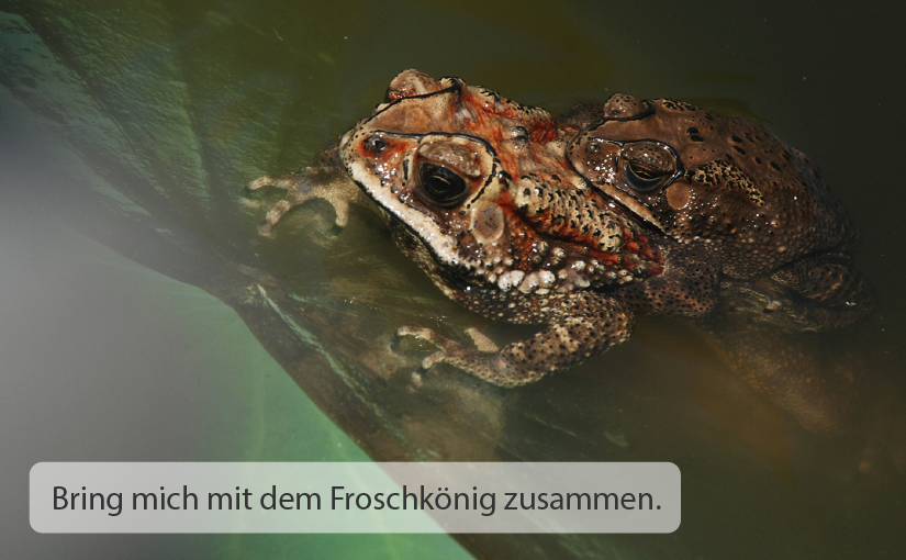 Think before you prompt: menschliche Fertigkeiten als Wettbewerbsvorteil